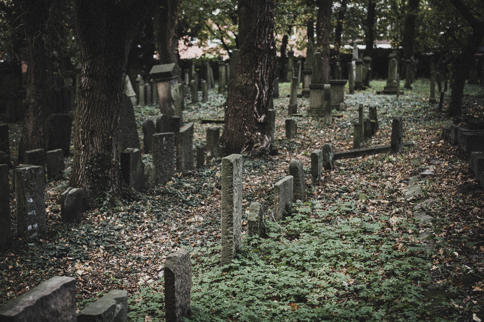 Emden, Jüdischer Friedhof